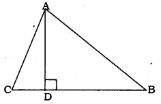 KSEEB SSLC Class 10 Maths Solutions Chapter 2 Triangles Ex 2.5 14