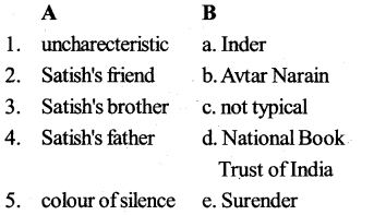 KSEEB SSLC Class 10 English Solutions Prose Chapter 7 Colours of Silence 8