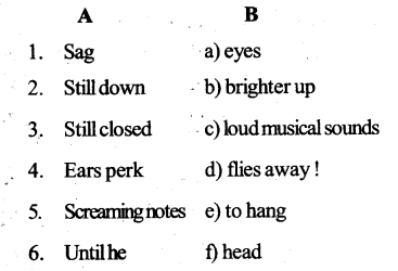 KSEEB SSLC Class 10 English Solutions Poetry Chapter 5 Jazz Poem Two 1