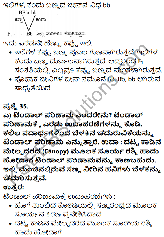 Karnataka SSLC Science Model Question Paper 4 in Kannada Medium - 28