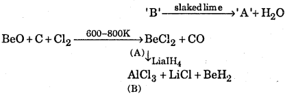 1st PUC Chemistry Question Bank Chapter 10 The S-Block Elements - 18