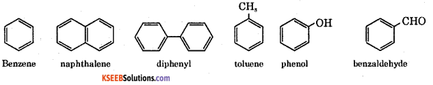 1st PUC Chemistry Question Bank Chapter 12 Organic Chemistry Some Basic Principles and Techniques -9