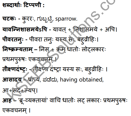 विवादः विनाशाय Summary in Kannada and English 28