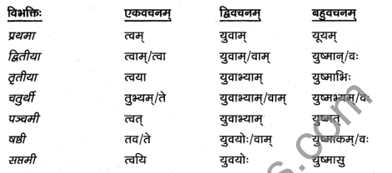 1st PUC Sanskrit Textbook Answers Vyakaran शब्दाः 13