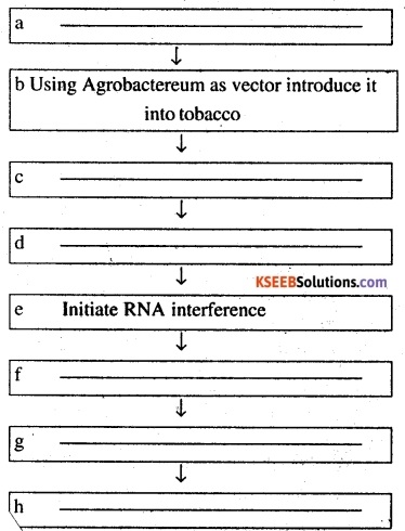 2nd PUC Biology Question Bank Chapter 12 Biotechnology and its Applications 2