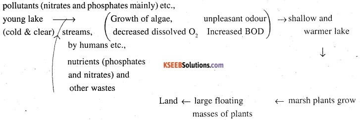 2nd PUC Biology Question Bank Chapter 16 Environmental Issues 3