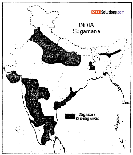 2nd PUC Geography Previous Year Question Paper March 2016 -1