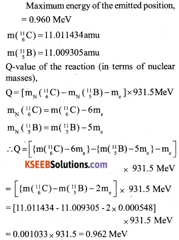 2nd PUC Physics Question Bank Chapter 13 Nuclei 21