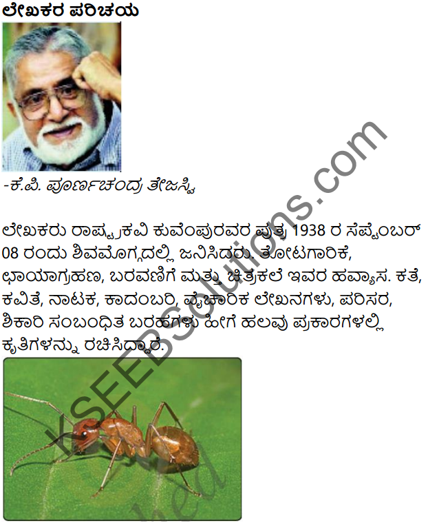 Chagali Iruve Summary in Kannada 1