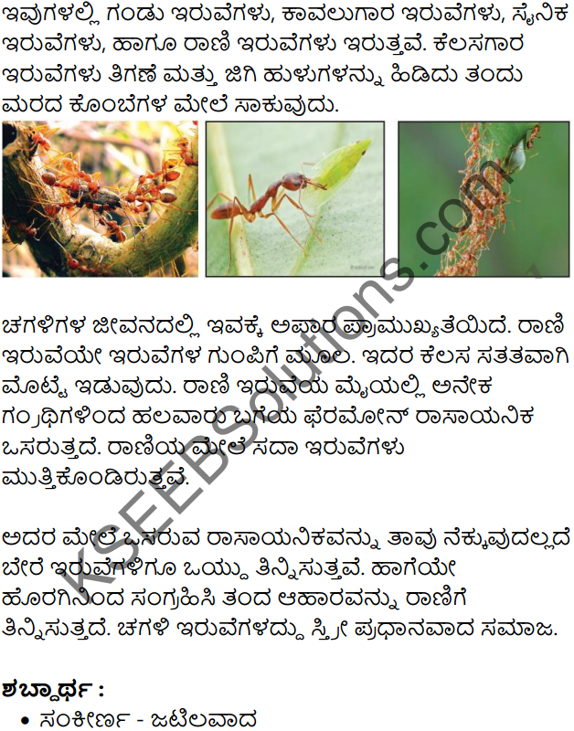 Chagali Iruve Summary in Kannada 3