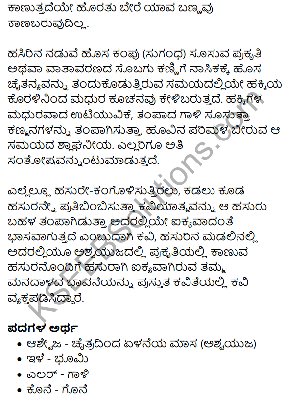 Hasuru Summary in Kannada 2