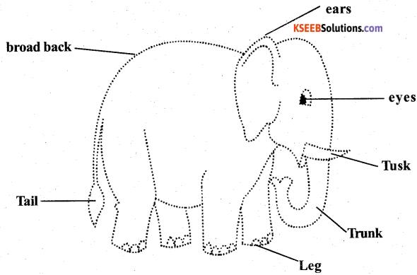 KSEEB Solutions for Class 5 English Poem Chapter 1 The Elephant 3