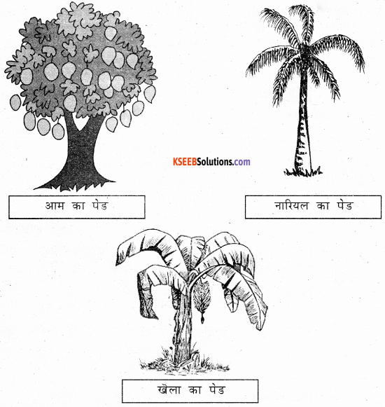 KSEEB Solutions for Class 6 Hindi Chapter 25 वनमहोत्सव 3