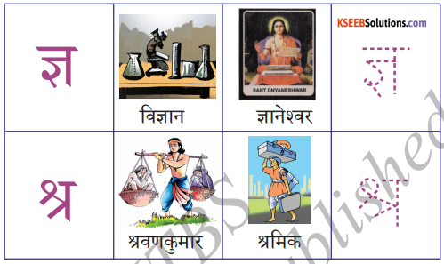 KSEEB Solutions for Class 6 Hindi Chapter 3 पढ़ो, समझो और लिखो 11
