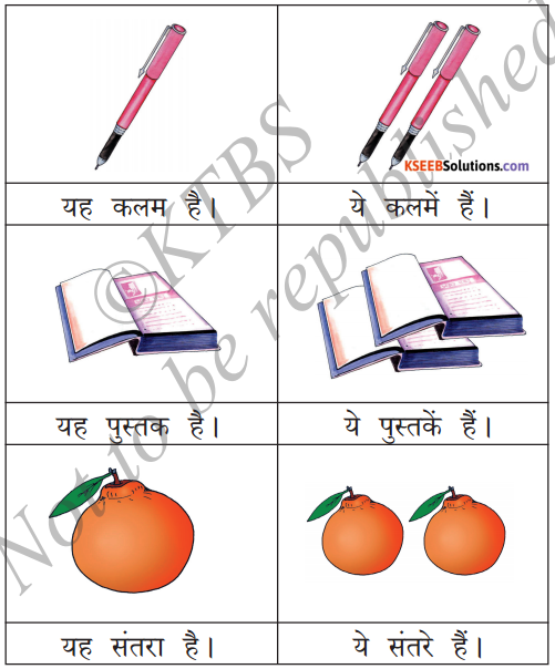 KSEEB Solutions for Class 6 Hindi Chapter 9 यह, ये, वह, वे 1
