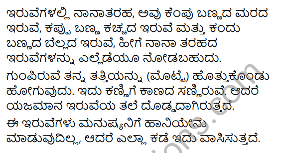 Siri Kannada Text Book Class 6 Solutions Puraka Pathagalu Chapter 5 Iruve 3