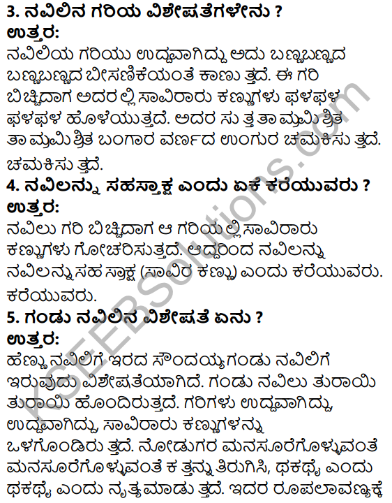 Tili Kannada Text Book Class 5 Solutions Gadya Chapter 2 Navilu 4