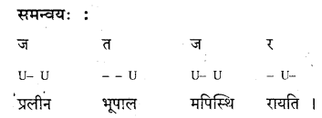 KSEEB Solutions for Class 10 Sanskrit नंदिनी Chapter 17 छन्दः 12