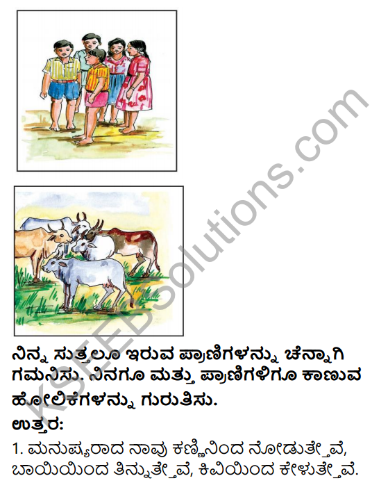 KSEEB Solutions for Class 4 EVS Chapter 1 The Animal Kingdom in Kannada 1