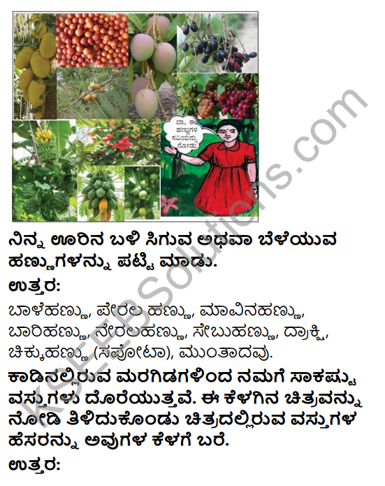 KSEEB Solutions for Class 4 EVS Chapter 3 Go Around the Forest in Kannada 1