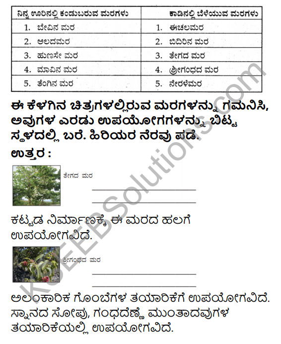 KSEEB Solutions for Class 4 EVS Chapter 3 Go Around the Forest in Kannada 3