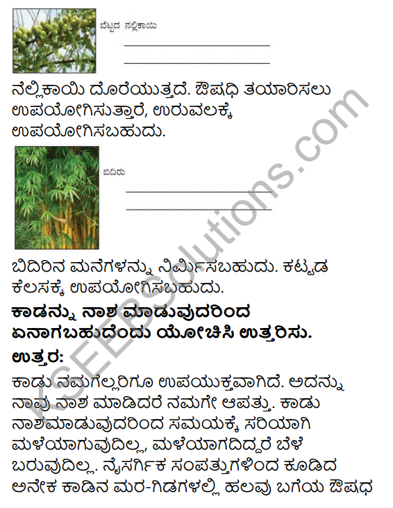 KSEEB Solutions for Class 4 EVS Chapter 3 Go Around the Forest in Kannada 5