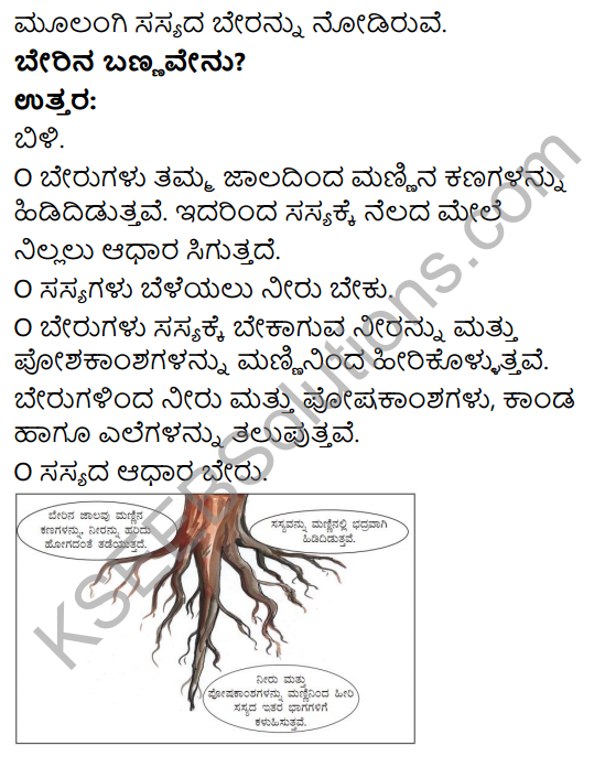 KSEEB Solutions for Class 4 EVS Chapter 4 Roots - Support of The Plant in Kannada 2
