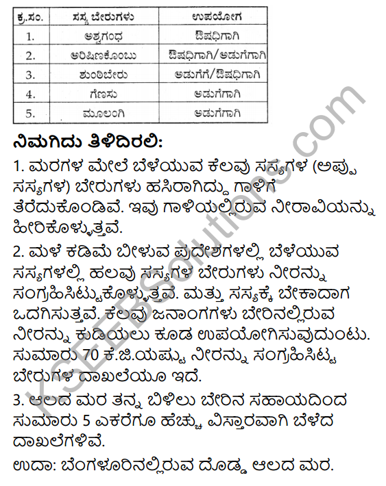 KSEEB Solutions for Class 4 EVS Chapter 4 Roots - Support of The Plant in Kannada 5