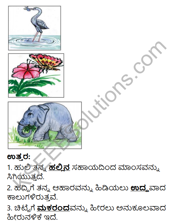 KSEEB Solutions for Class 4 EVS Chapter 8 Food - Health in Kannada 7