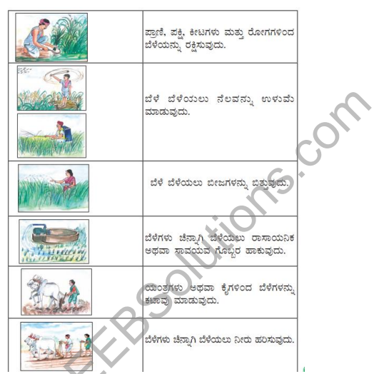 KSEEB Solutions for Class 5 EVS Chapter 8 Agriculture in Kannada 2