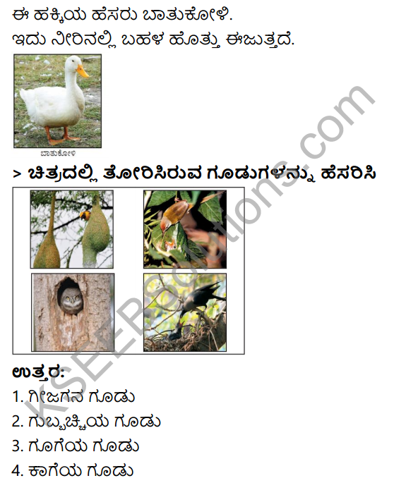 KSEEB Solutions for Class 3 EVS Chapter 1 A Day in the Garden in Kannada 4