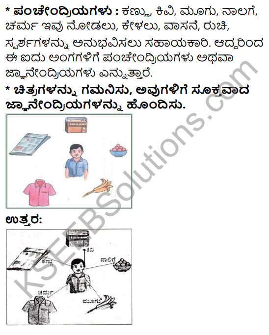 KSEEB Solutions for Class 3 EVS Chapter 10 Our Sense Organs in Kannada 11