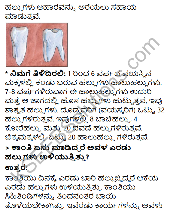 KSEEB Solutions for Class 3 EVS Chapter 11 Importance of Teeth in Kannada 2