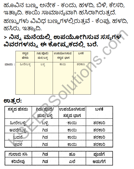 KSEEB Solutions for Class 3 EVS Chapter 2 Green Wealth in Kannada 4
