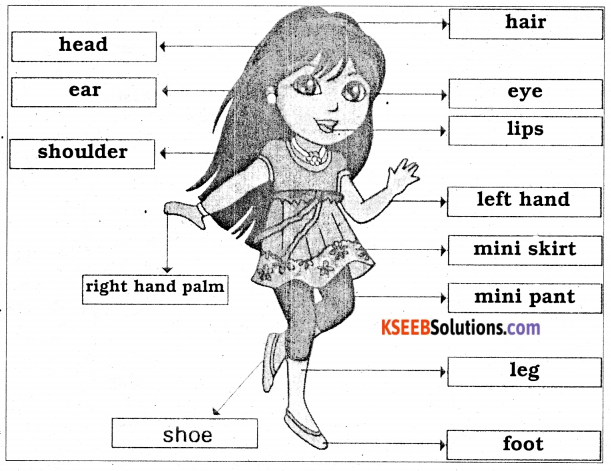 KSEEB Solutions for Class 3 English Chapter 2 Head, Shoulders, Knees and Toes 700