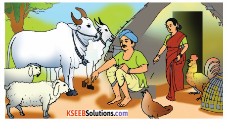 KSEEB Solutions for Class 4 English Chapter 6 Farming 23