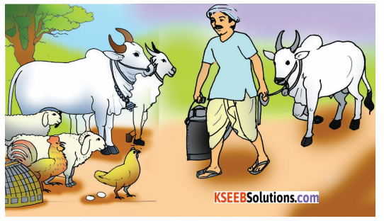 KSEEB Solutions for Class 4 English Chapter 6 Farming 24