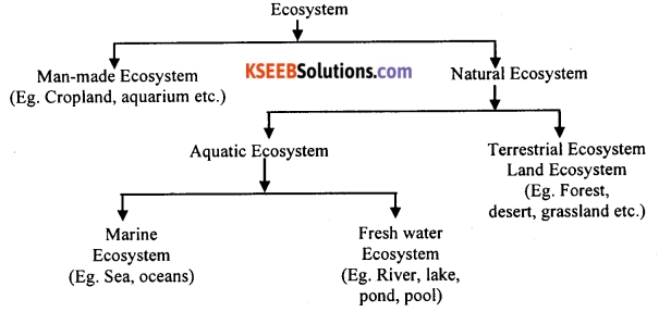 KSEEB Class 10 Science Important Questions Chapter 15 Our Environment 1
