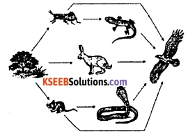 KSEEB Class 10 Science Important Questions Chapter 15 Our Environment 11