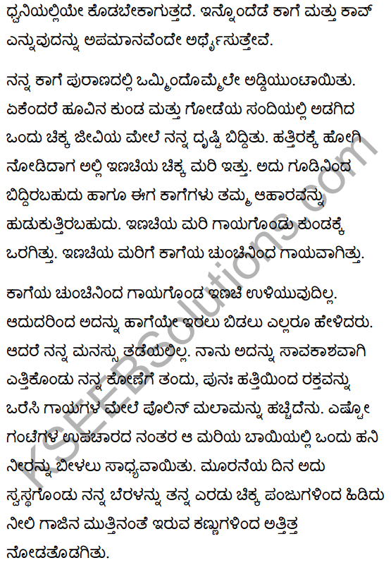 गिल्लू Summary in Kannada 2
