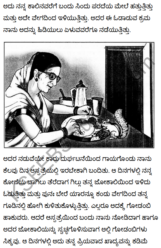 गिल्लू Summary in Kannada 6