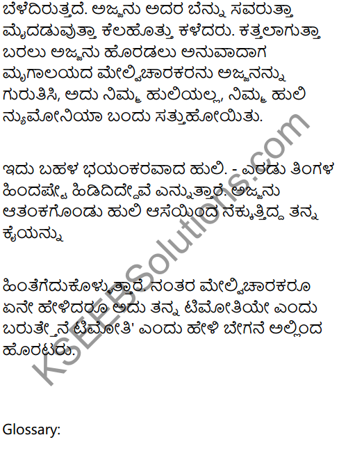 A Tiger in the House Summary in Kannada 2