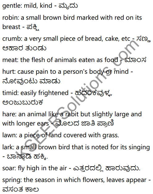 KSEEB Solutions for Class 6 English Poem Chapter 3 Kindness to Animals 6