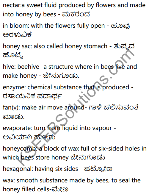 KSEEB Solutions for Class 6 English Prose Chapter 3 How do Bees Make Honey 14