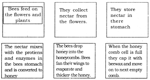 KSEEB Solutions for Class 6 English Prose Chapter 3 How do Bees Make Honey 3