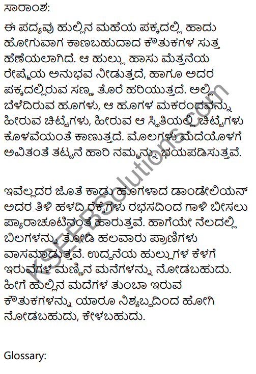 Meadow Surprises Summary in Kannada 1