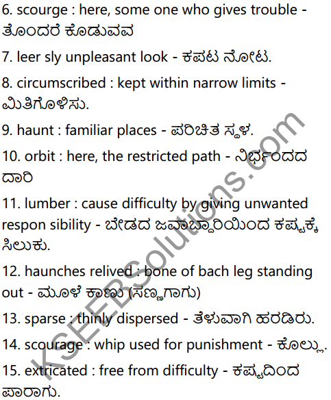 The Blind Dog Summary in Kannada 3