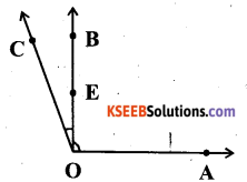 KSEEB Solutions for Class 6 Maths Chapter 4 Basic Geometrical Ideas Ex 4.3 3
