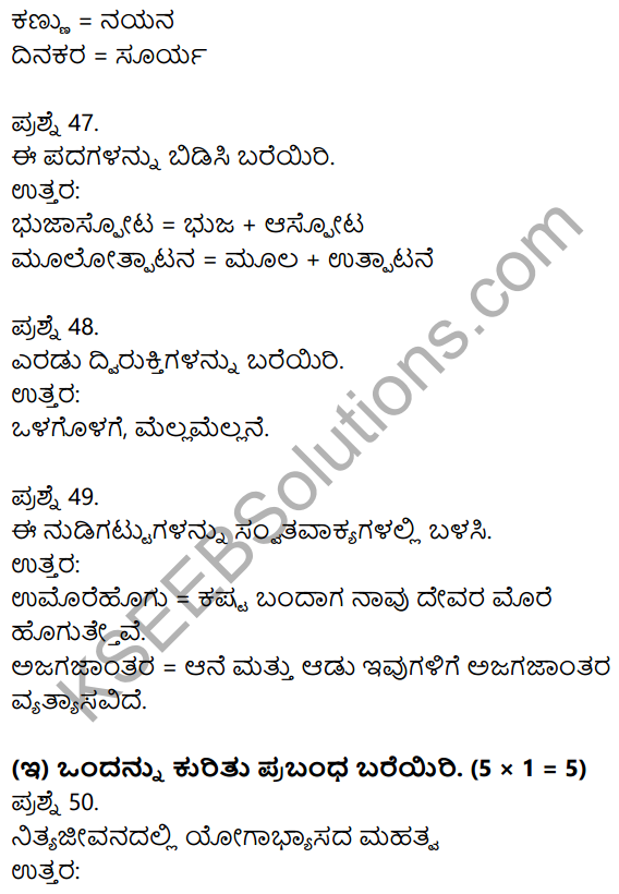 1st PUC Kannada Previous Year Question Paper March 2019 (North) 25