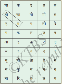 KSEEB Solutions for Class 7 Hindi Chapter 3 सुनो मेरी कहानी 3